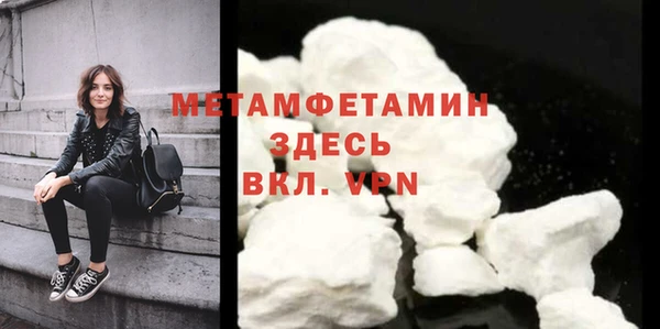 гидра Богородицк