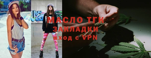 гидра Богородицк