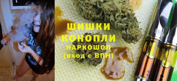 гидра Богородицк
