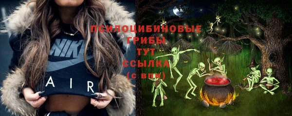 гидра Богородицк
