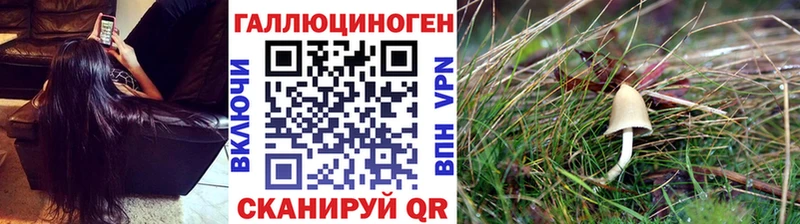 Псилоцибиновые грибы Magic Shrooms  Болгар 